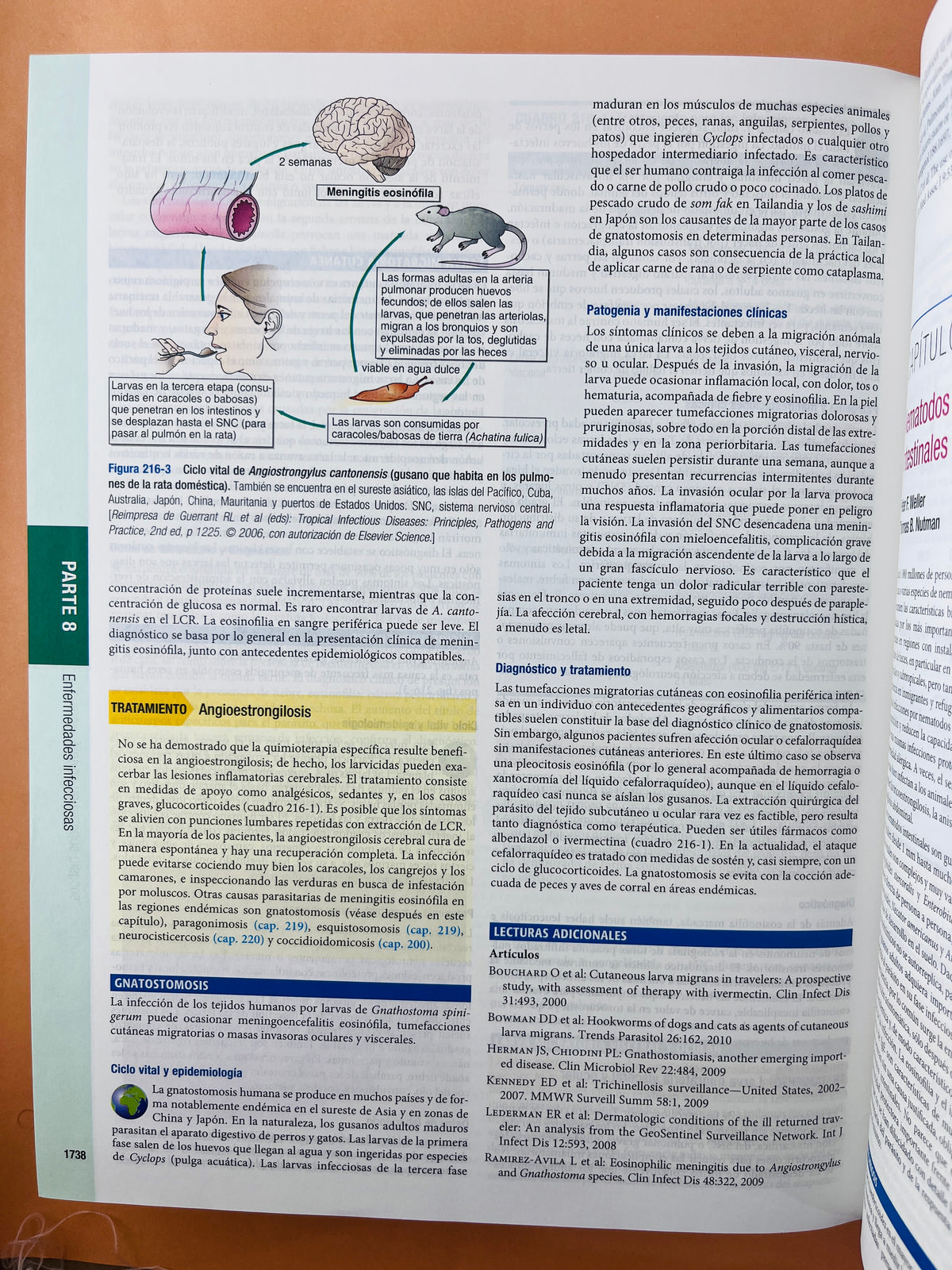 Harrison principios de Medicina Interna edición 18a 2 volúmenes by Longo Fauci Kasper Hauser Jameson Loscalzo