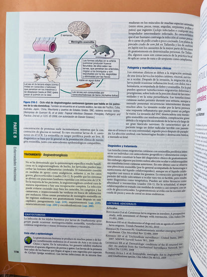 Harrison principios de Medicina Interna edición 18a 2 volúmenes