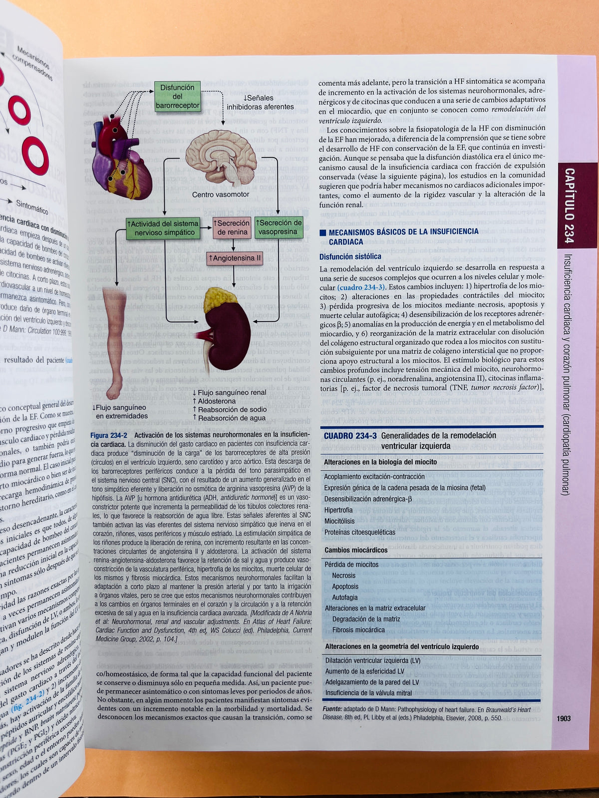 Harrison principios de Medicina Interna edición 18a 2 volúmenes by Longo Fauci Kasper Hauser Jameson Loscalzo