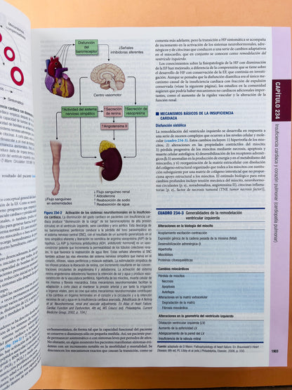 Harrison principios de Medicina Interna edición 18a 2 volúmenes