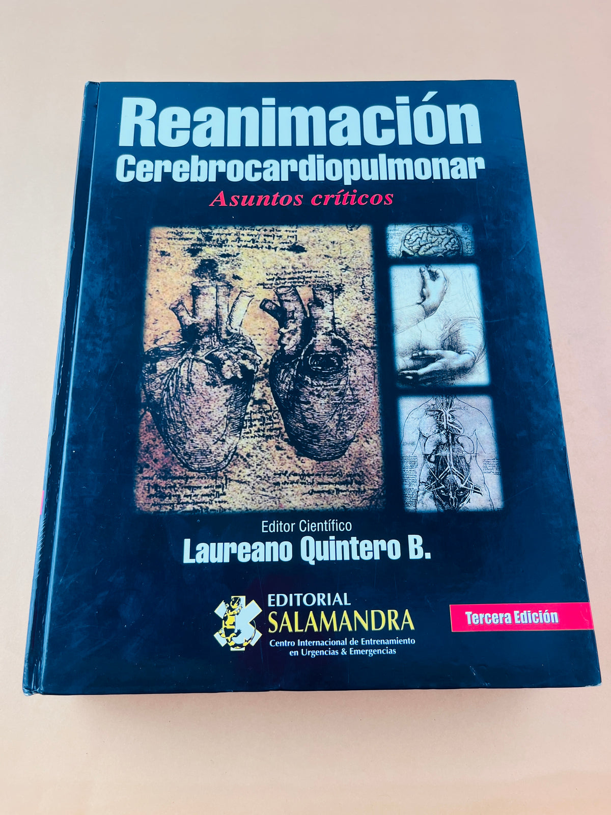 Reanimación Cerebrocardiopumonar asuntos críticos tercera edición by Laureano Quintwero B.