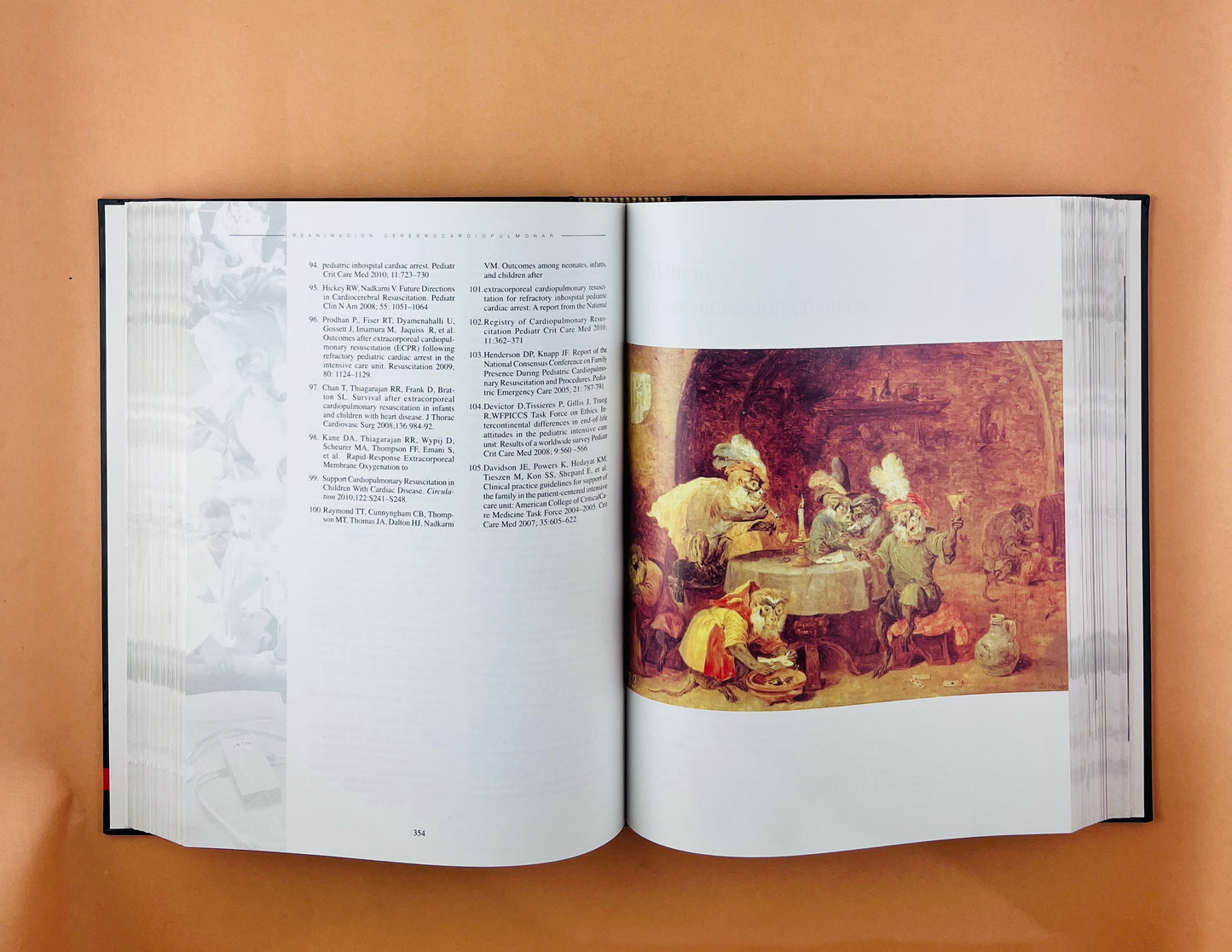 Reanimación Cerebrocardiopumonar asuntos críticos tercera edición