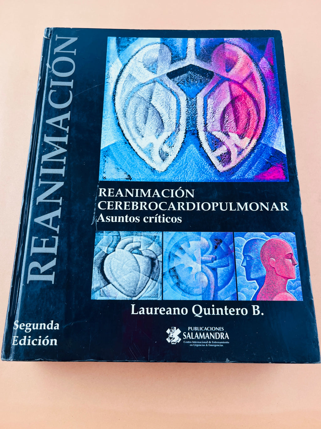 Reanimación Cerebrocardiopumonar asuntos críticos segunda edición by Laureano Quintwero B.