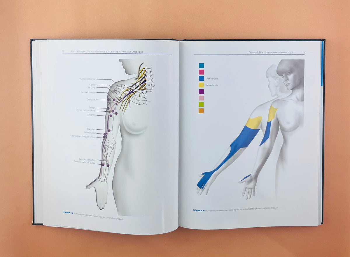 Atlas de Bloqueos Nerviosos Periféricos y Anatomía para Anestesia Ortopédica by André P. Boezaart