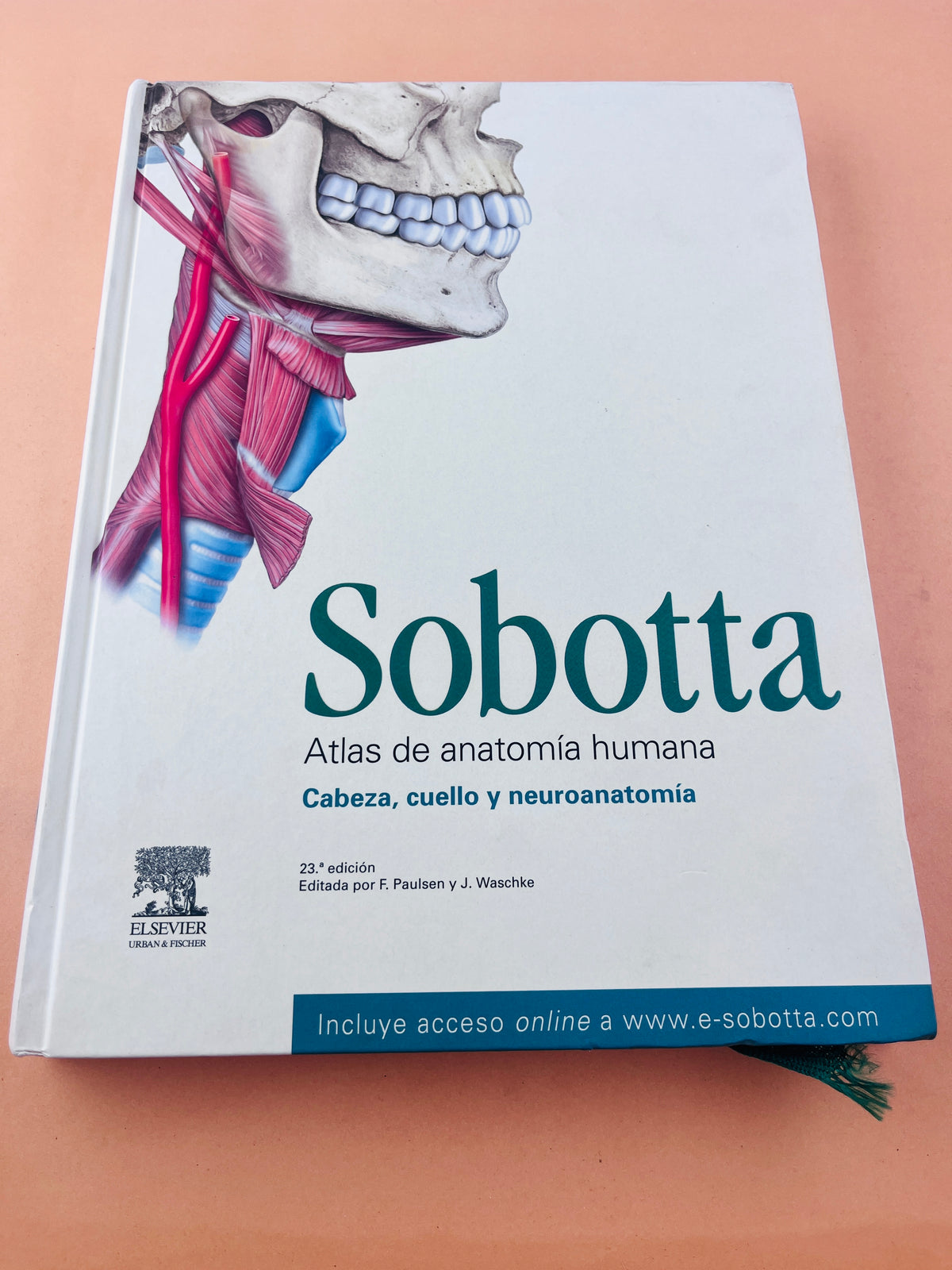 Sobotta Colección Atlas de anatomía humana 23a edición 3 volumen Cabeza, cuello y neuroanatomía. Órganos internos, Anatomía general y aparato locomotor by F. Paulsen y J. Waschtke
