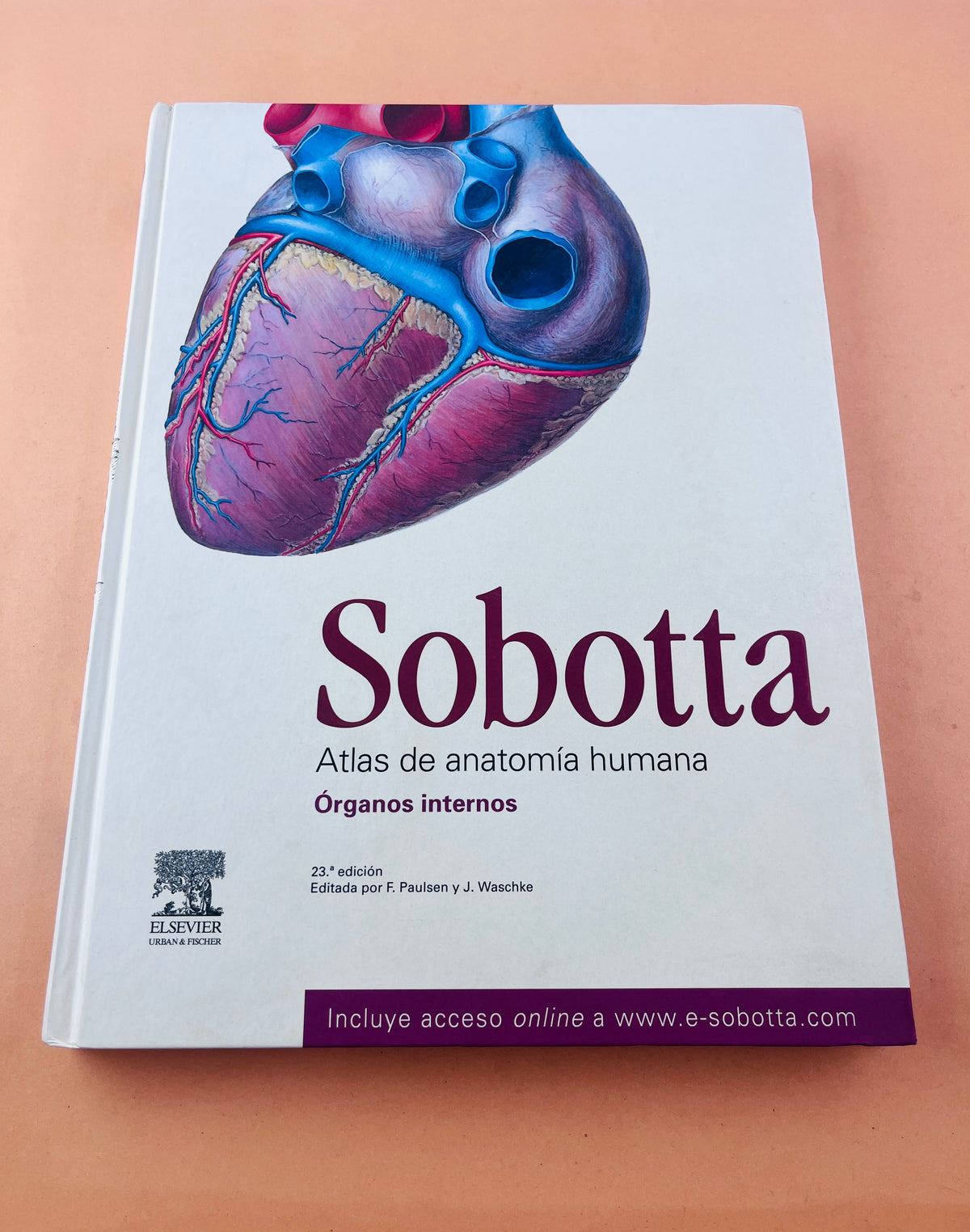 Sobotta Colección Atlas de anatomía humana 23a edición 3 volumen Cabeza, cuello y neuroanatomía. Órganos internos, Anatomía general y aparato locomotor by F. Paulsen y J. Waschtke