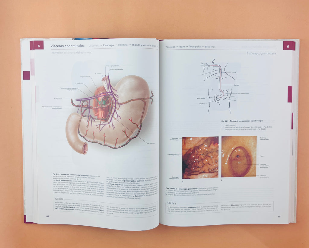 Sobotta Colección Atlas de anatomía humana 23a edición 3 volumen Cabeza, cuello y neuroanatomía. Órganos internos, Anatomía general y aparato locomotor by F. Paulsen y J. Waschtke