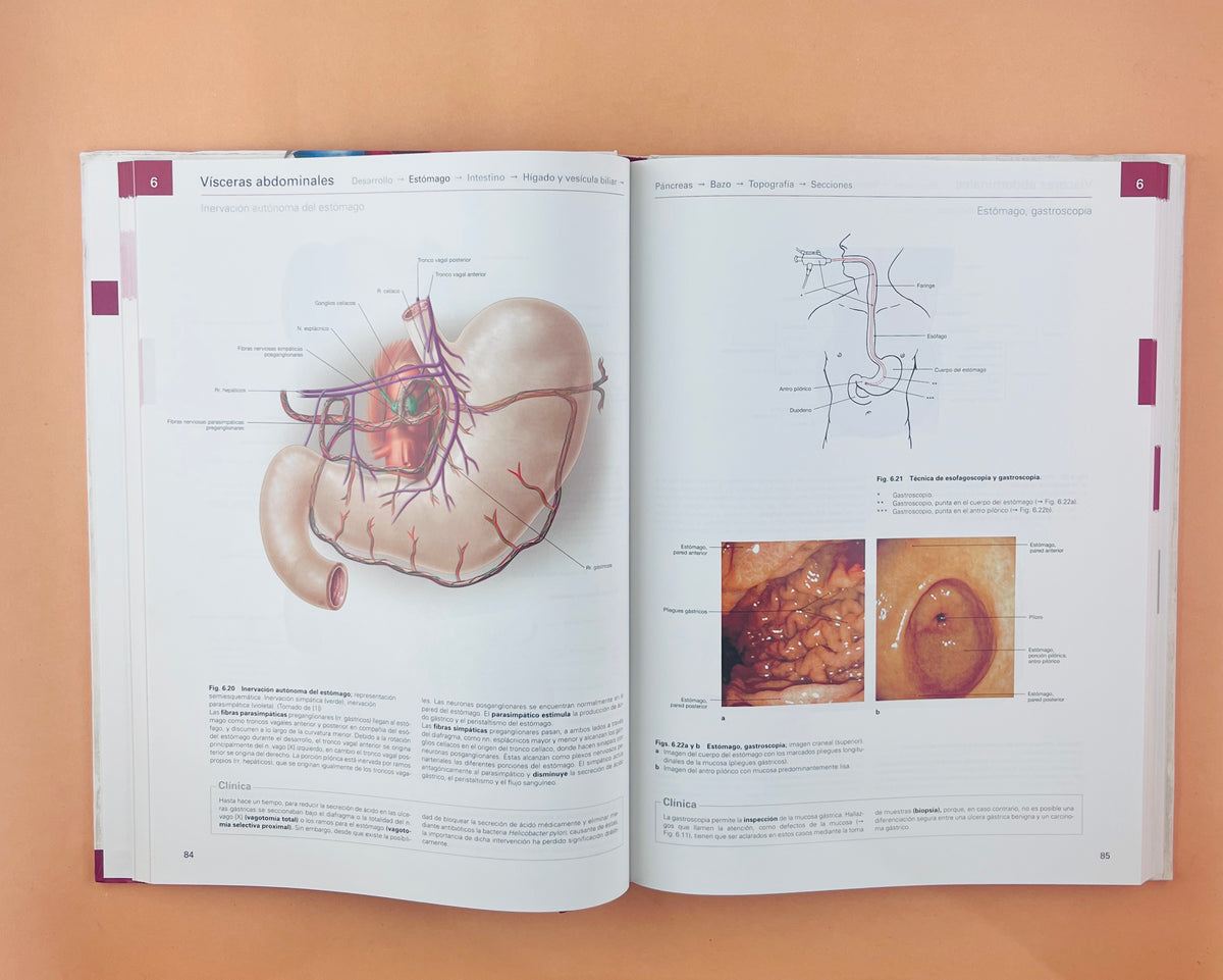 Sobotta Colección Atlas de anatomía humana 23a edición 3 volumen Cabeza, cuello y neuroanatomía. Órganos internos, Anatomía general y aparato locomotor by F. Paulsen y J. Waschtke