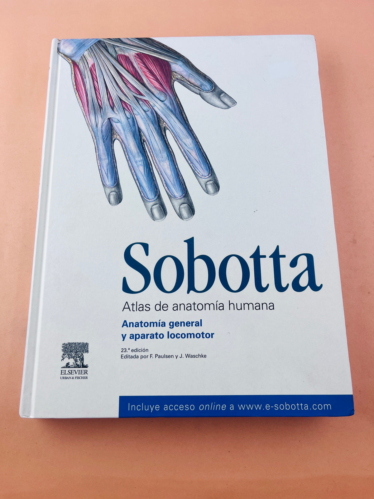 Sobotta Colección Atlas de anatomía humana 23a edición 3 volumen Cabeza, cuello y neuroanatomía. Órganos internos, Anatomía general y aparato locomotor by F. Paulsen y J. Waschtke