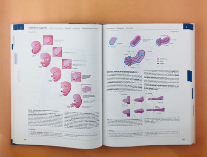 Sobotta Colección Atlas de anatomía humana 23a edición 3 volumen Cabeza, cuello y neuroanatomía. Órganos internos, Anatomía general y aparato locomotor + cartlilla tablas de de músculos, articulacio