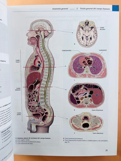 Prometheus Colección Textos y Atlas de Anatomía 3 volumenes, Anatomía general y aparato Locomotor, Órganos internos Cabeza, cueolo y Neuroanatomía tercera edición