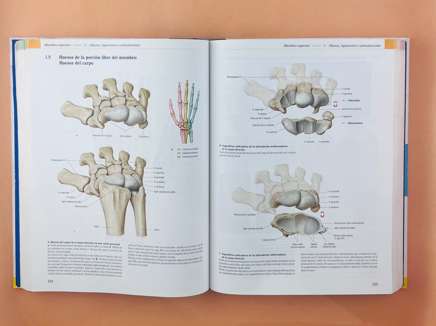 Prometheus Colección Textos y Atlas de Anatomía 3 volumenes, Anatomía general y aparato Locomotor, Órganos internos Cabeza, cueolo y Neuroanatomía tercera edición