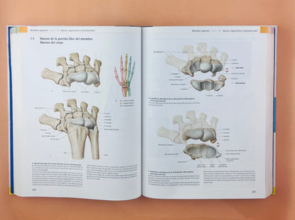 Prometheus Colección Textos y Atlas de Anatomía 3 volumenes, Anatomía general y aparato Locomotor, Órganos internos Cabeza, cueolo y Neuroanatomía tercera edición