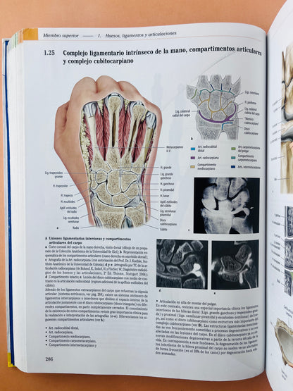 Prometheus Colección Textos y Atlas de Anatomía 3 volumenes, Anatomía general y aparato Locomotor, Órganos internos Cabeza, cueolo y Neuroanatomía tercera edición
