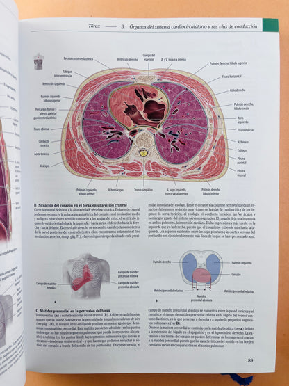 Prometheus Colección Textos y Atlas de Anatomía 3 volumenes, Anatomía general y aparato Locomotor, Órganos internos Cabeza, cueolo y Neuroanatomía tercera edición