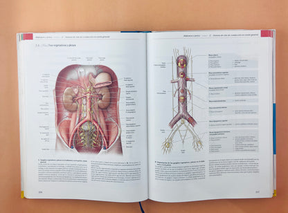 Prometheus Colección Textos y Atlas de Anatomía 3 volumenes, Anatomía general y aparato Locomotor, Órganos internos Cabeza, cueolo y Neuroanatomía tercera edición