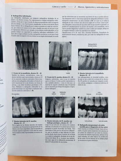 Prometheus Colección Textos y Atlas de Anatomía 3 volumenes, Anatomía general y aparato Locomotor, Órganos internos Cabeza, cueolo y Neuroanatomía tercera edición