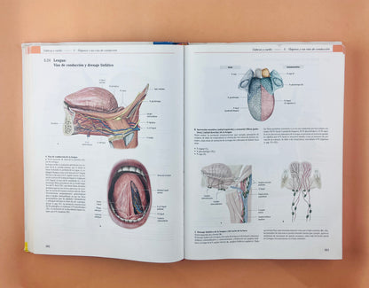 Prometheus Colección Textos y Atlas de Anatomía 3 volumenes, Anatomía general y aparato Locomotor, Órganos internos Cabeza, cueolo y Neuroanatomía tercera edición