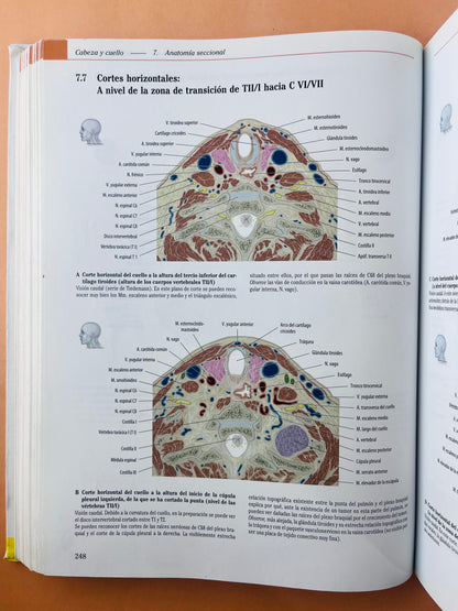 Prometheus Colección Textos y Atlas de Anatomía 3 volumenes, Anatomía general y aparato Locomotor, Órganos internos Cabeza, cueolo y Neuroanatomía tercera edición
