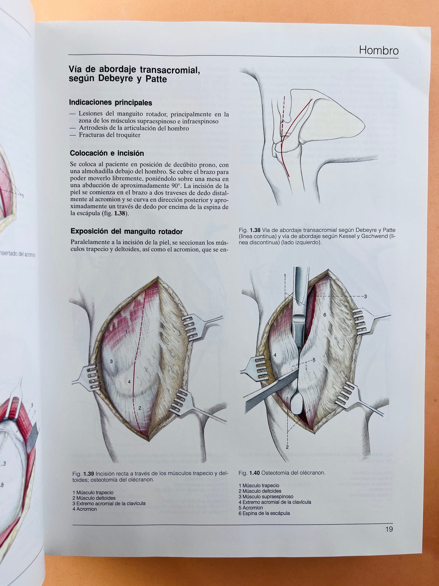 Cirugía Ortopédica Mano Muñeca Antebrazo Codo Hombro