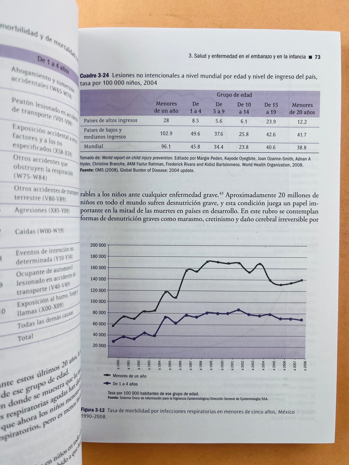 Promoción de la salud en el ciclo de la vida by Rafael González Guzmán Juan Manuel E. Castro Albarrán Laura Moreno Altamirano