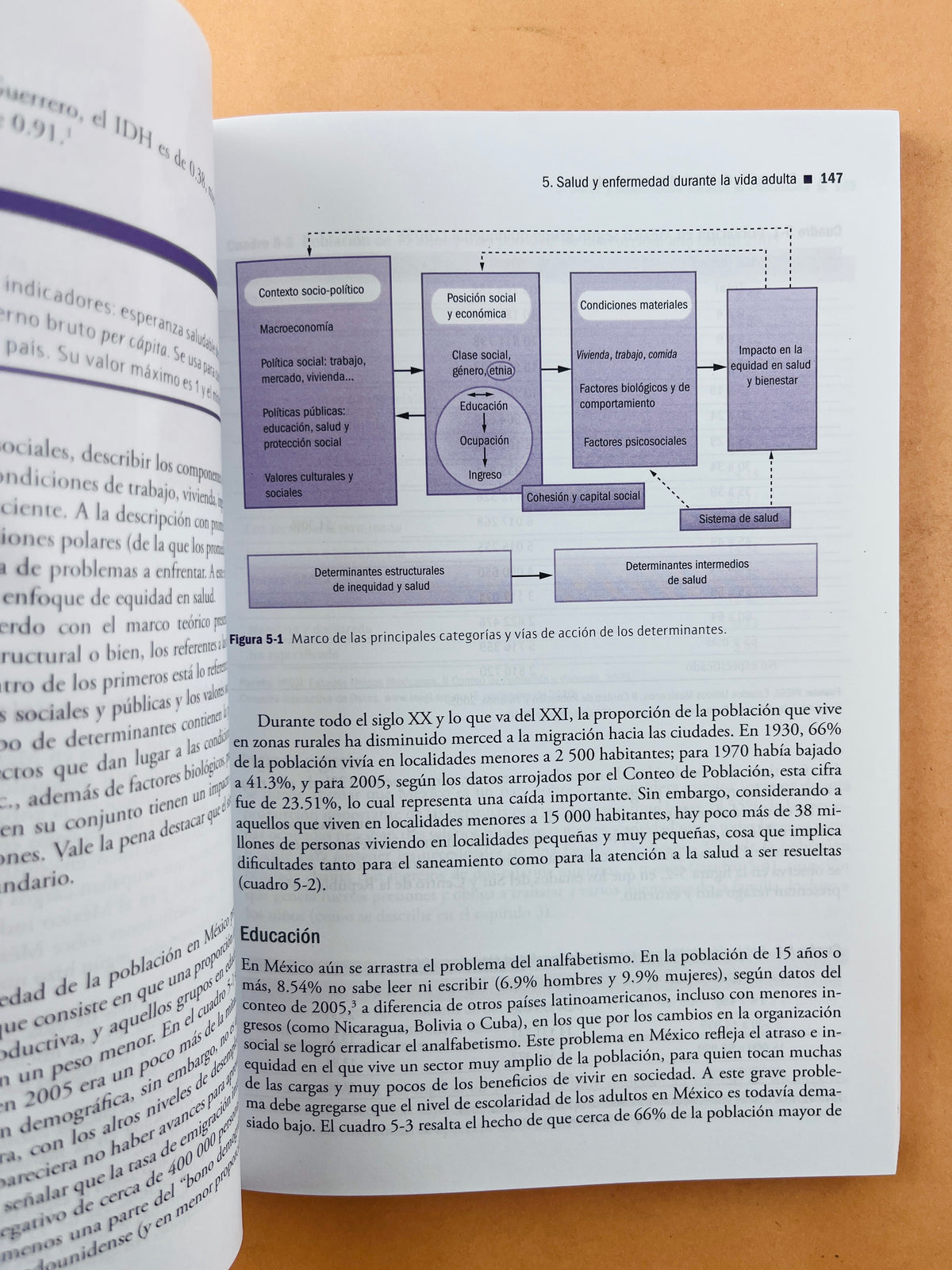 Promoción de la salud en el ciclo de la vida by Rafael González Guzmán Juan Manuel E. Castro Albarrán Laura Moreno Altamirano