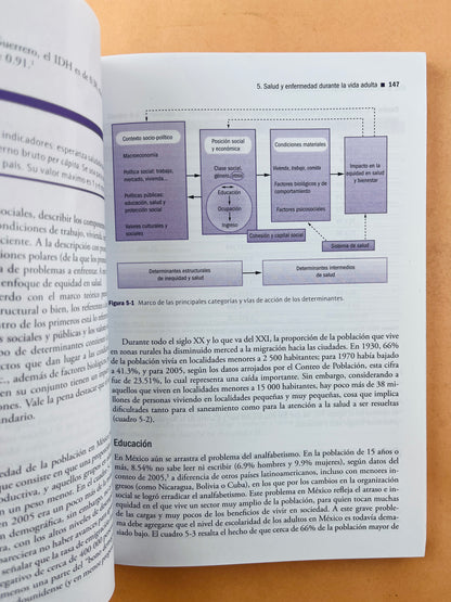 Promoción de la salud en el ciclo de la vida
