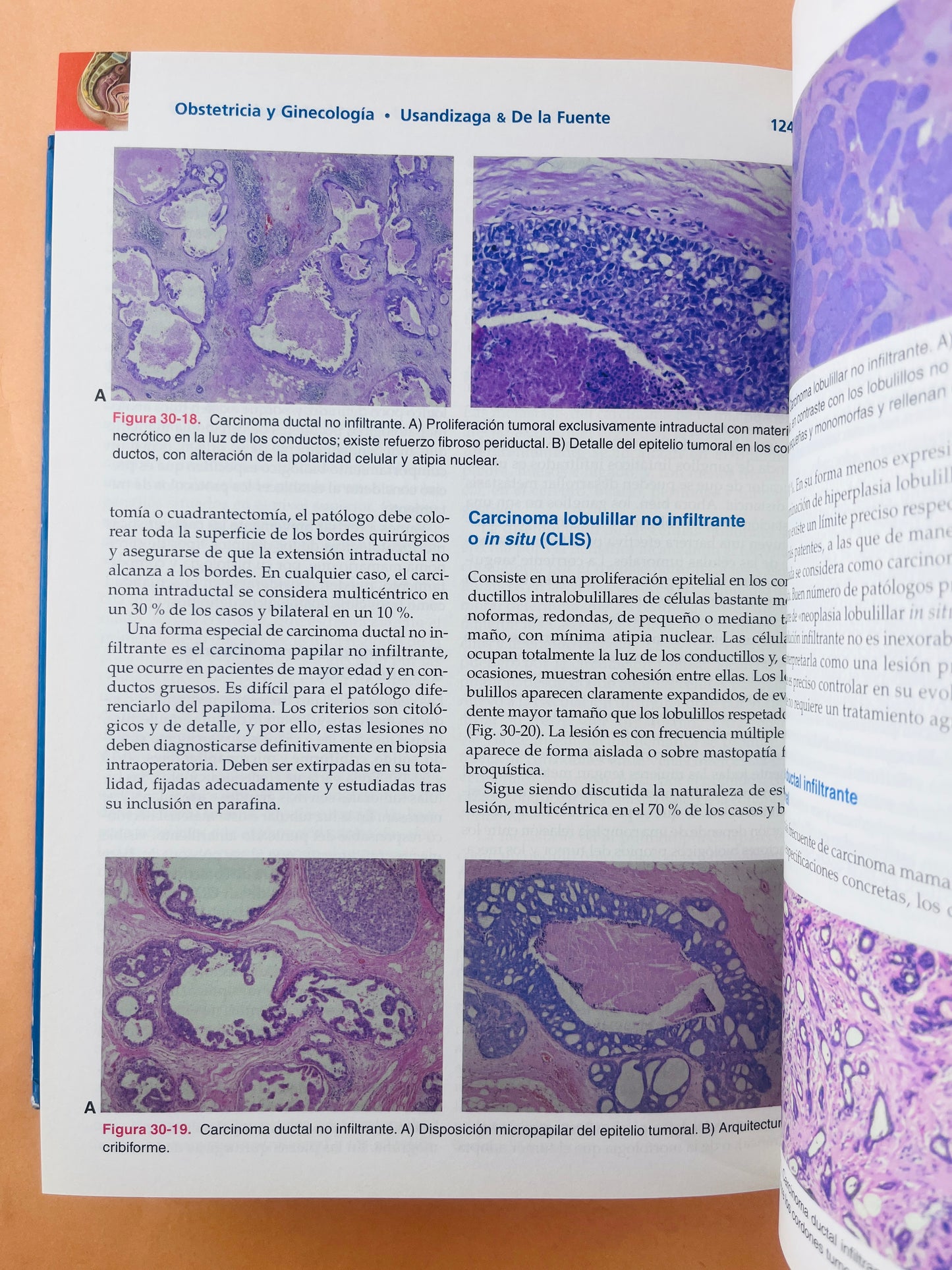 Obstetricia y ginecología