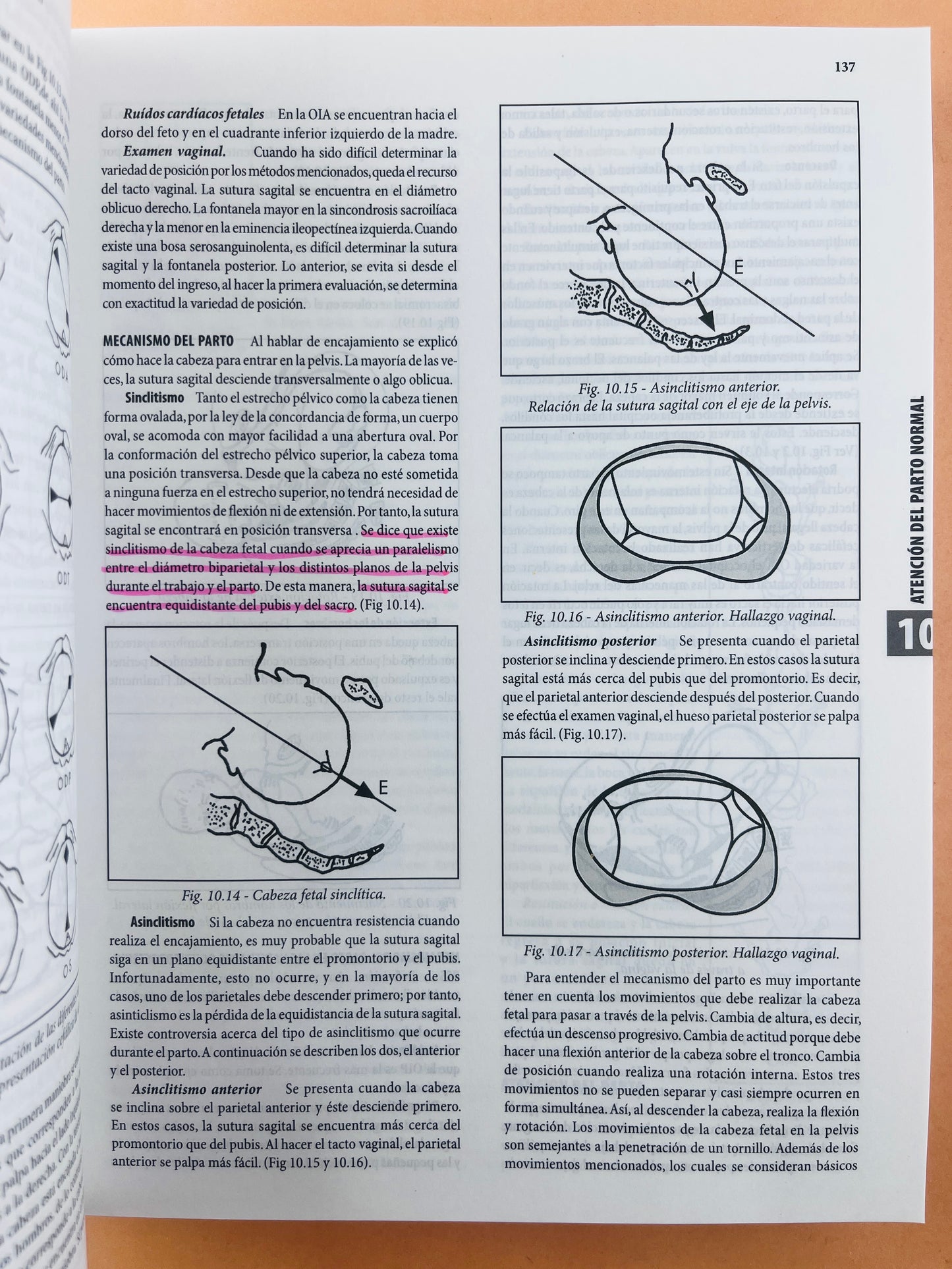 Obstetricia y ginecología texto integrado séptima edición