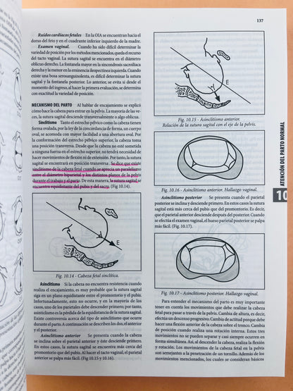 Obstetricia y ginecología texto integrado séptima edición