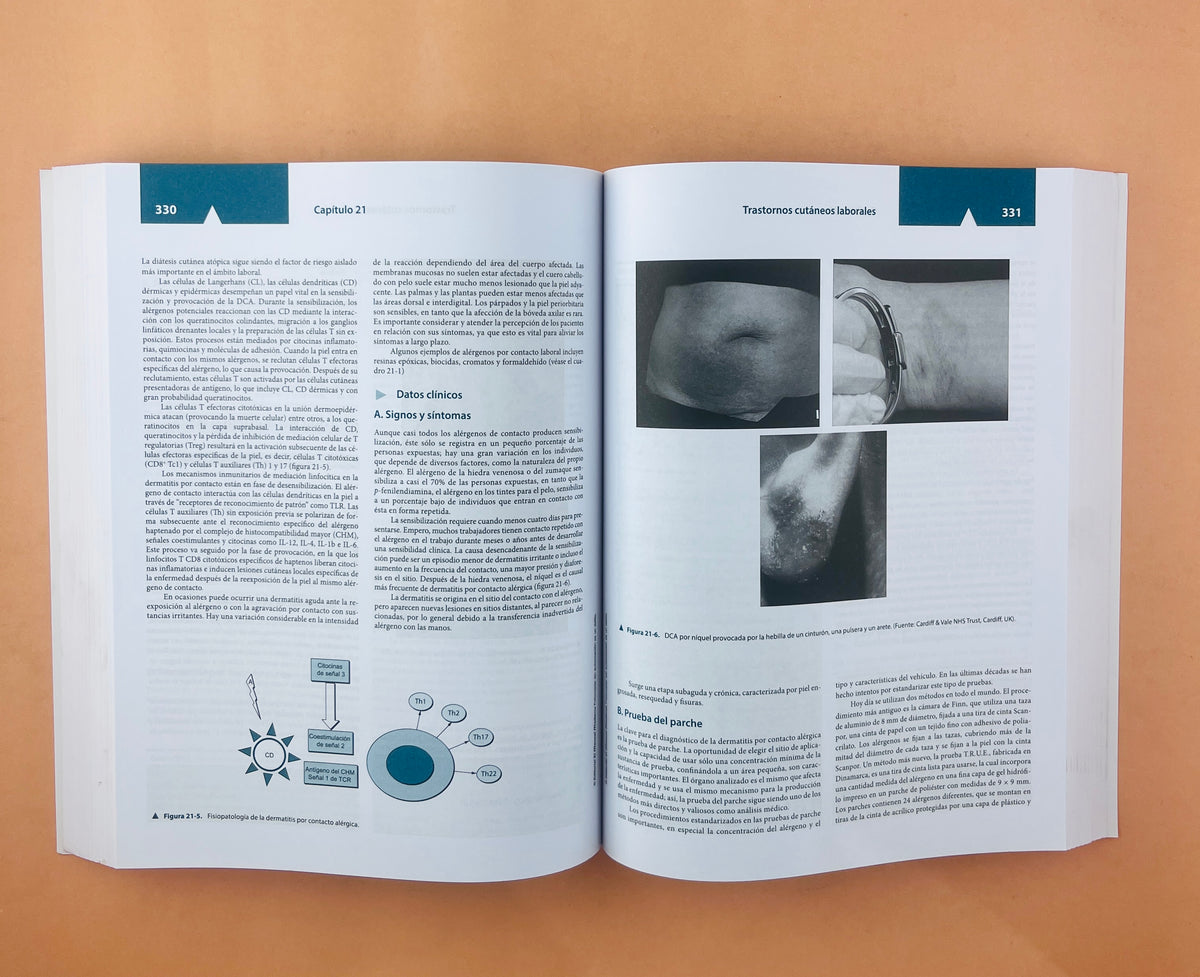 Diagnóstico y tratamiento en medicina laboral y ambiental quinta edición versión abreviada de la obra completa by Joseph Ladou Robert Harrison