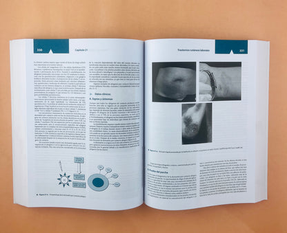 Diagnóstico y tratamiento en medicina laboral y ambiental quinta edición versión abreviada de la obra completa