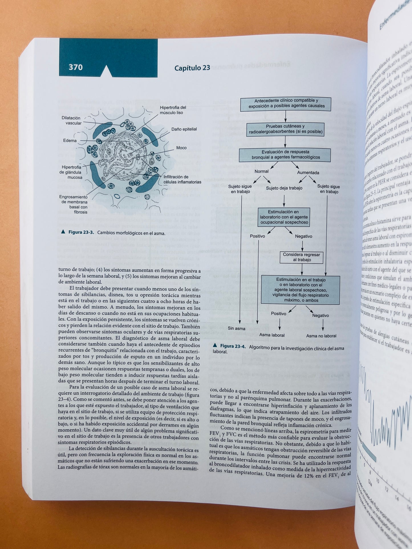 Diagnóstico y tratamiento en medicina laboral y ambiental quinta edición versión abreviada de la obra completa