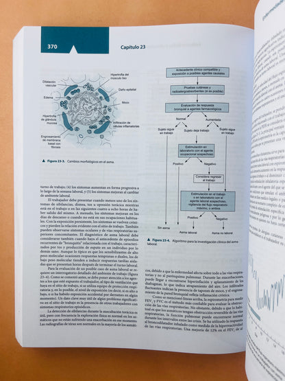 Diagnóstico y tratamiento en medicina laboral y ambiental quinta edición versión abreviada de la obra completa