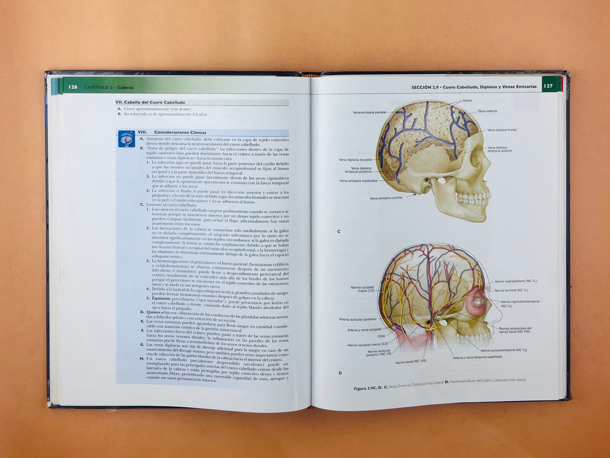 Anatomía concisa e ilustrada de Lippincott Cabeza y Cuello volumen 3 by Ben Pansky Thomas R. Gest