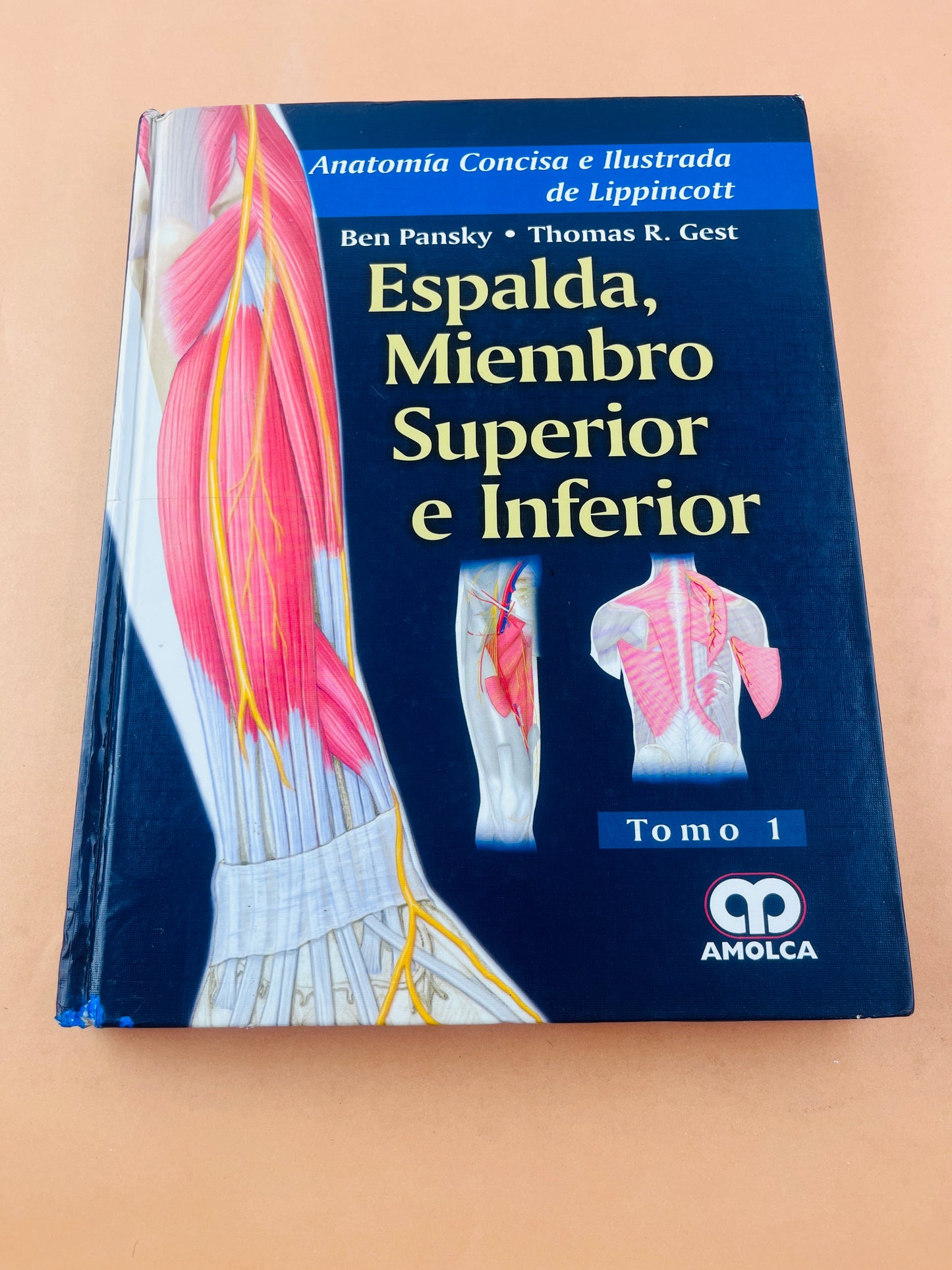 Colección Anatomía concisa e ilustrada de Lippincott 3 volumenes Esplada, miembro superior e inferior Tórax, Abdomen Y Pelvis Cabeza y Cuello