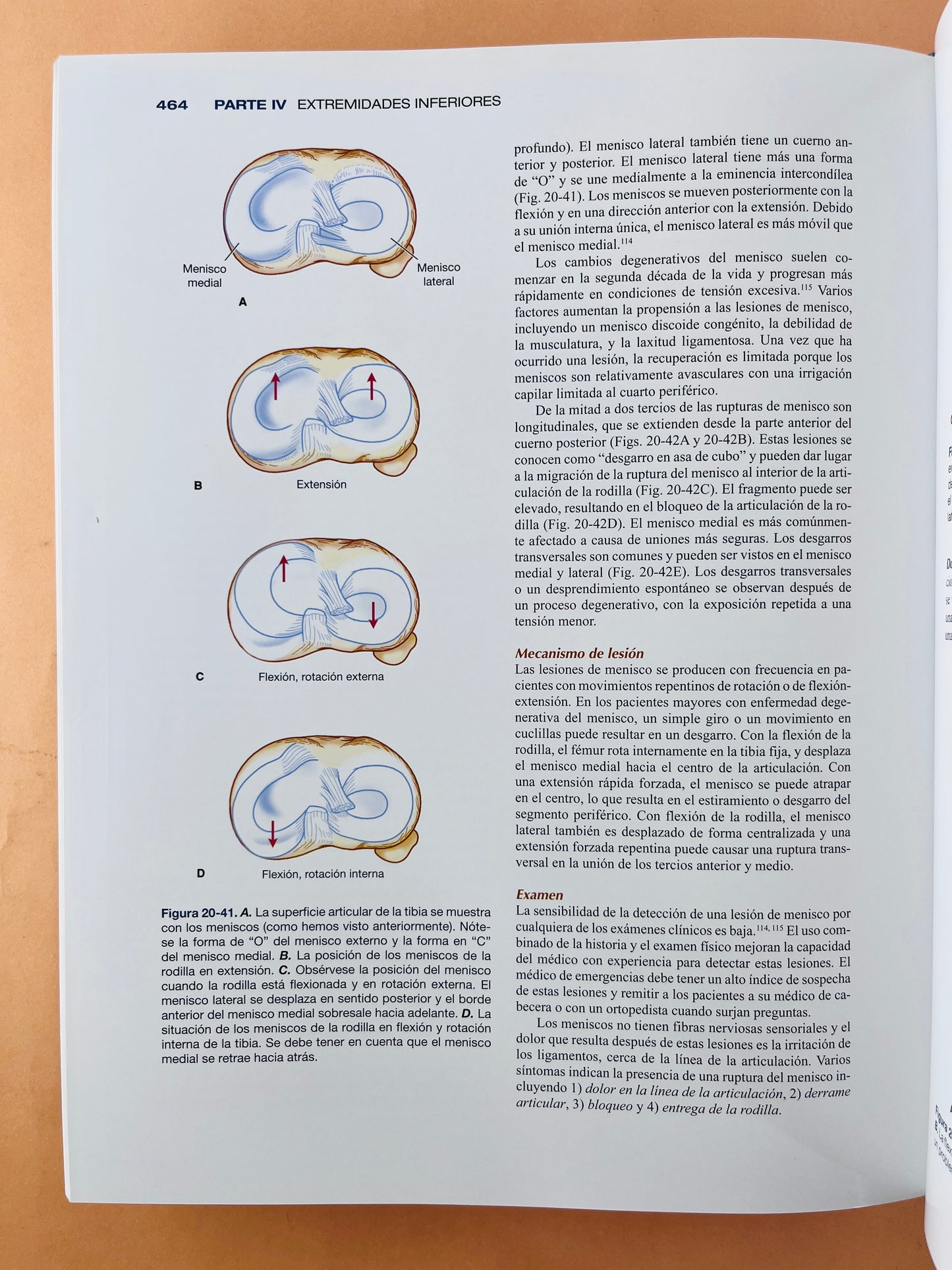 Emergencias en Ortopedia sexta edición