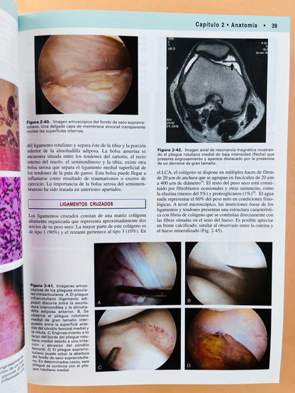 Rodilla 2 volúmenes