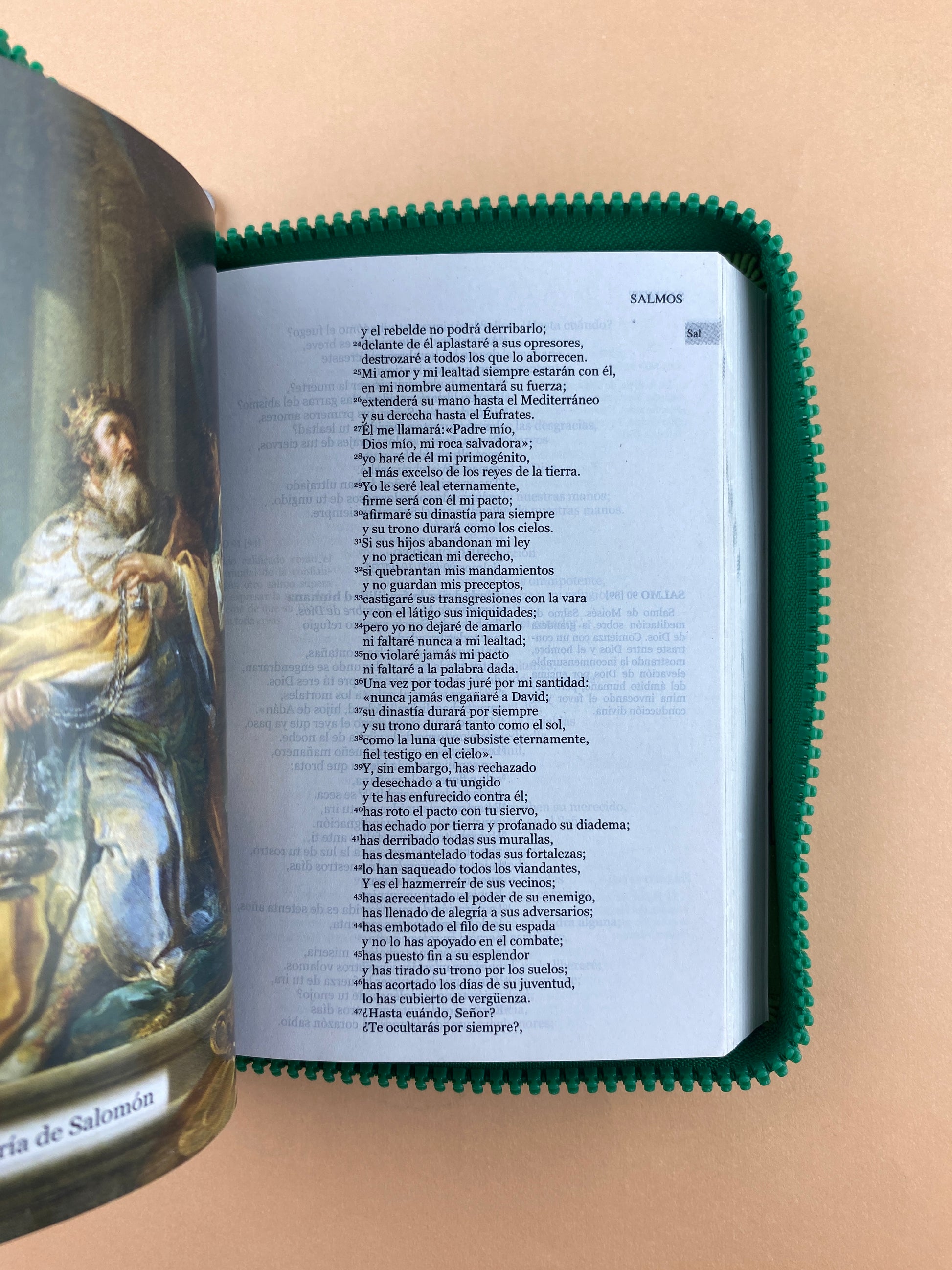 Biblia una historia de amor hormiguitas verde by Nuestra sagrada biblia
