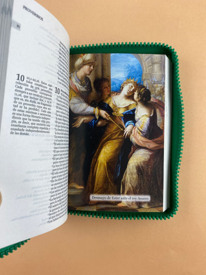 Biblia una historia de amor hormiguitas verde by Nuestra sagrada biblia