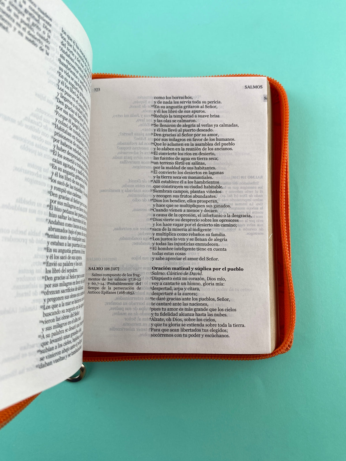 Biblia una historia de amor hormiguitas naranja by Nuestra sagrada biblia