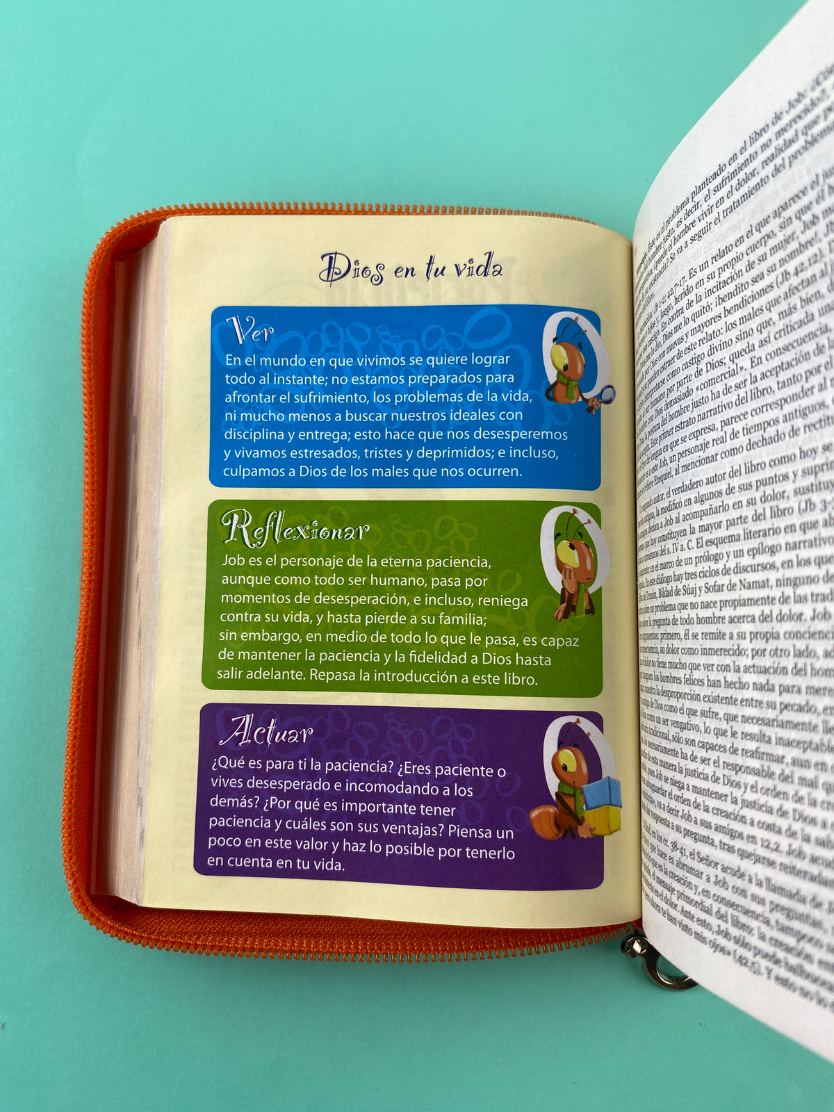 Biblia una historia de amor hormiguitas naranja by Nuestra sagrada biblia