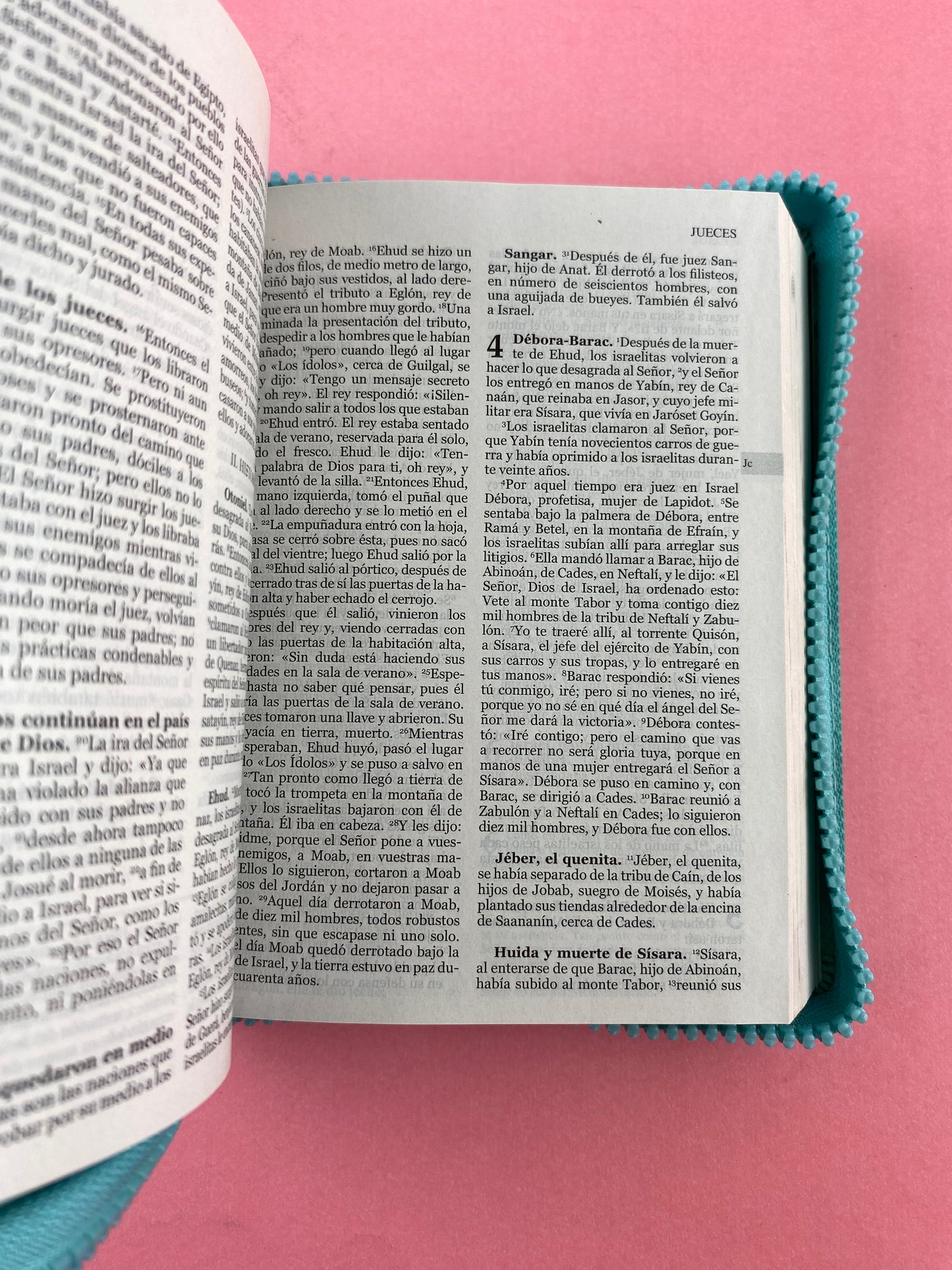 Biblia una historia de amor hormiguitas turquesa by Nuestra sagrada biblia