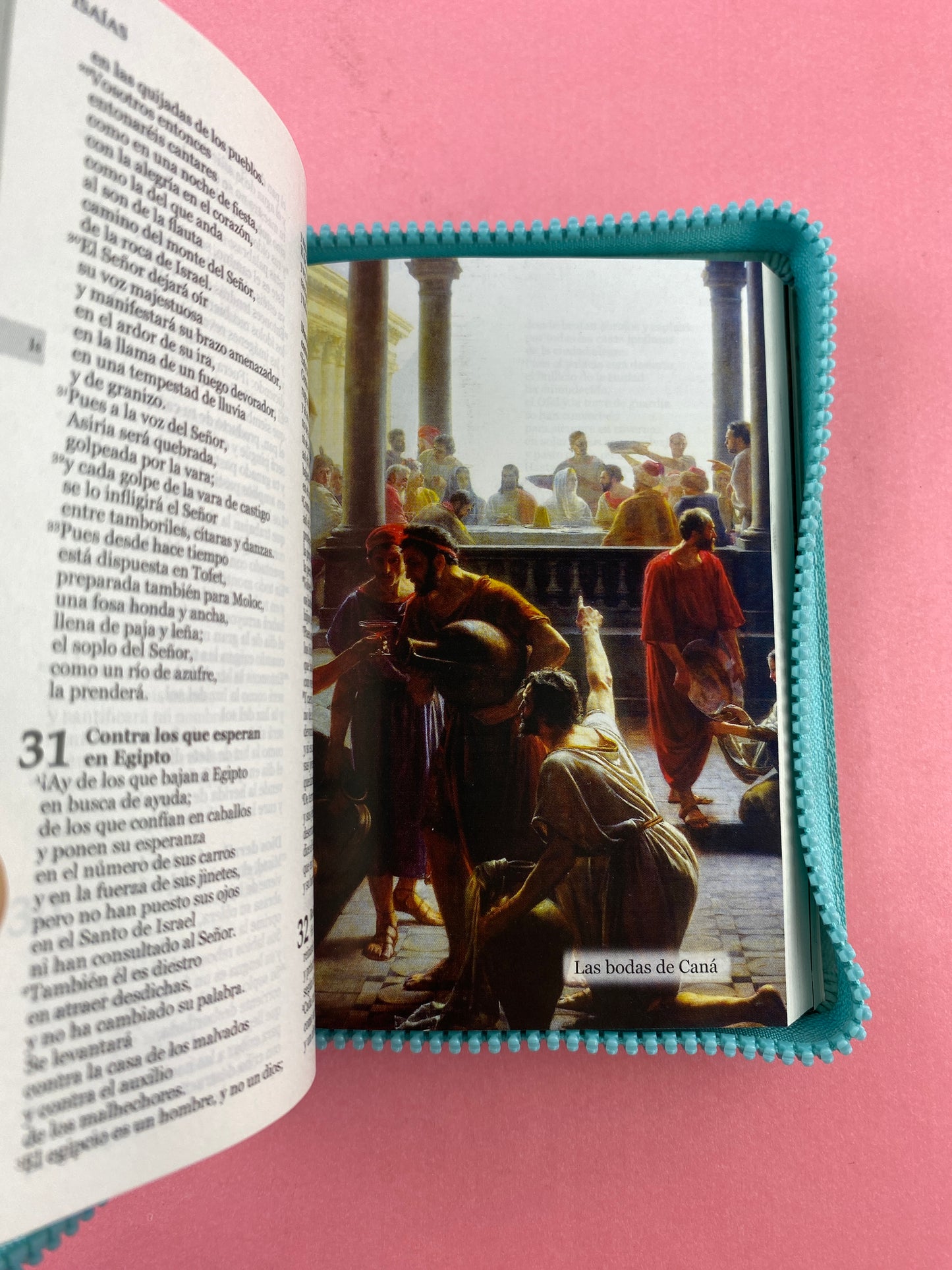 Biblia una historia de amor hormiguitas turquesa by Nuestra sagrada biblia
