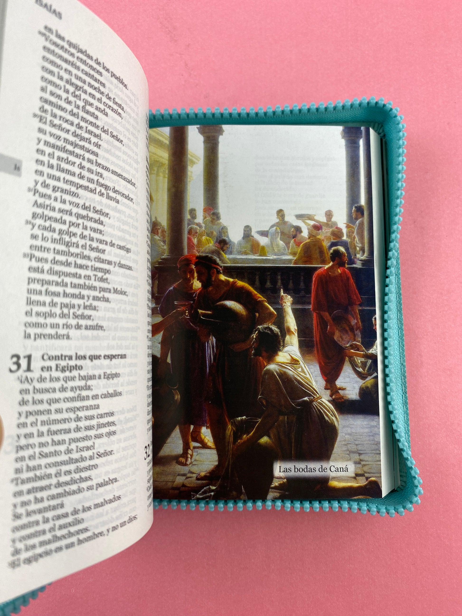 Biblia una historia de amor hormiguitas turquesa by Nuestra sagrada biblia
