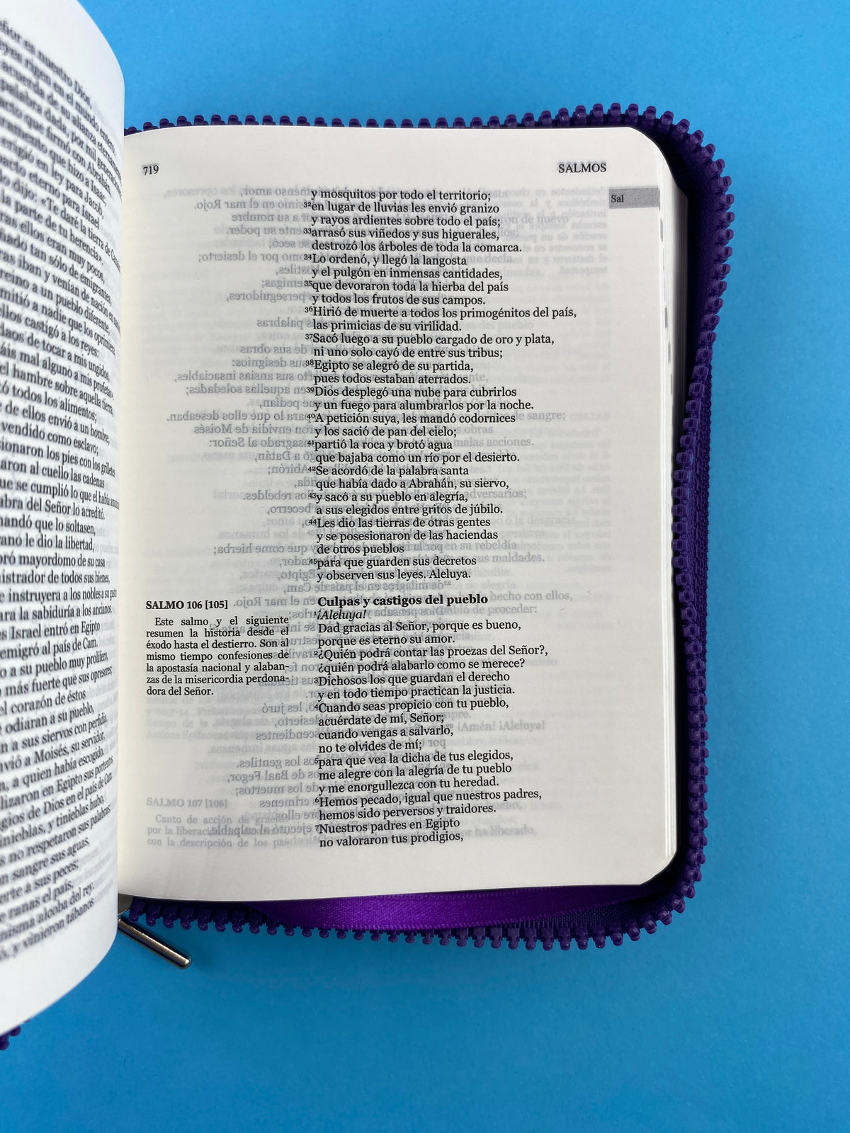 Biblia una historia de amor hormiguitas morada by Nuestra sagrada biblia
