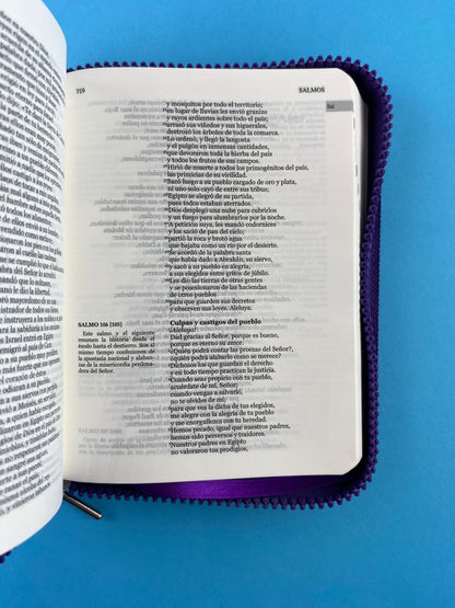 Biblia una historia de amor hormiguitas morada by Nuestra sagrada biblia