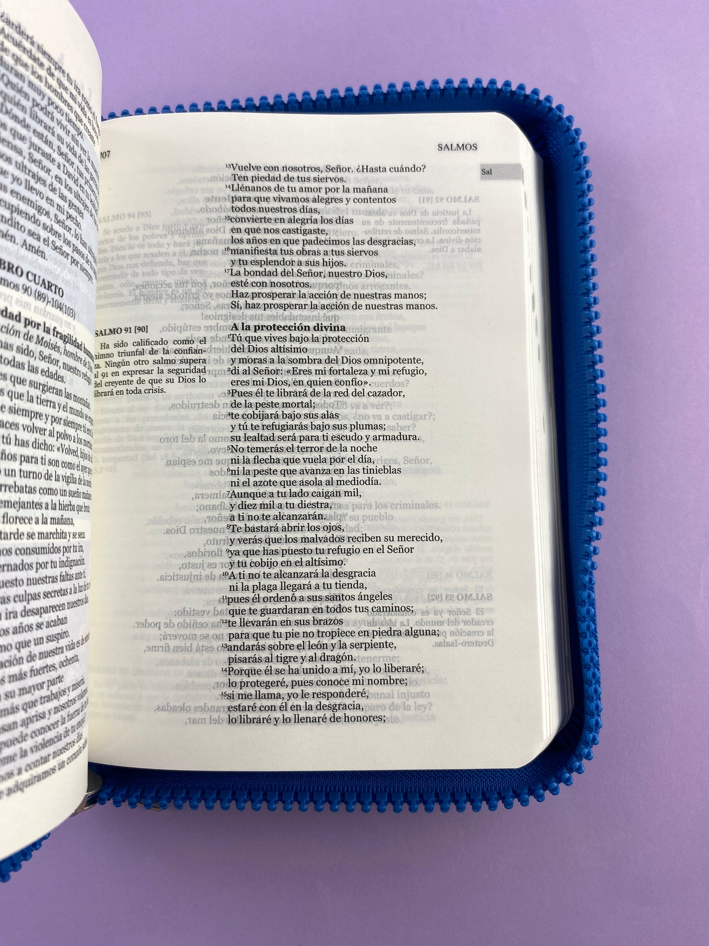 Biblia una historia de amor hormiguitas azul by Nuestra sagrada biblia