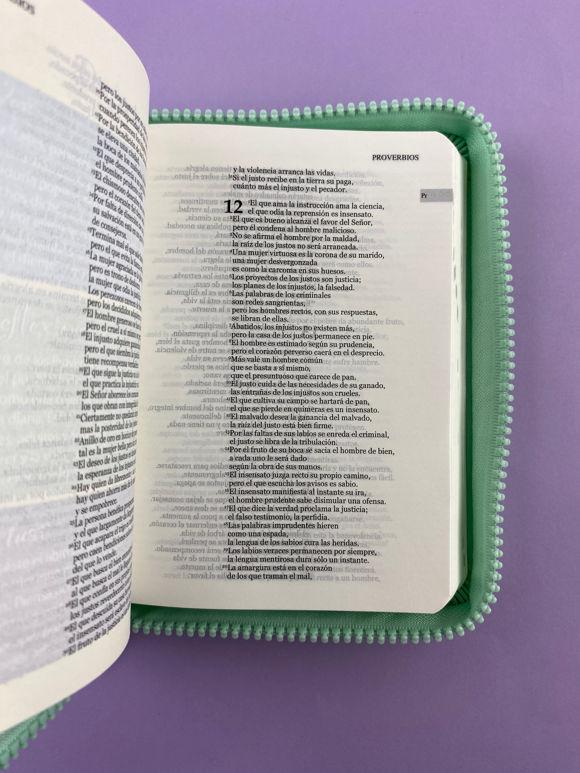 Biblia una historia de amor hormiguitas verde menta by Nuestra sagrada biblia