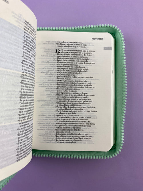 Biblia una historia de amor hormiguitas verde menta by Nuestra sagrada biblia
